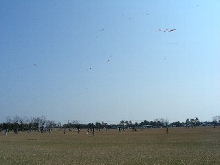 ガーデンパークで凧
